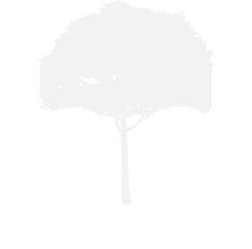 Branch Designs Logo